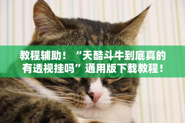 教程辅助！“天酷斗牛到底真的有透视挂吗	”通用版下载教程！