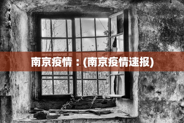 南京疫情︰(南京疫情速报)