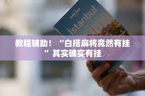教程辅助！“白搭麻将竟然有挂”其实确实有挂