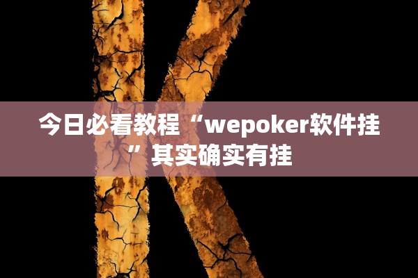 今日必看教程“wepoker软件挂”其实确实有挂