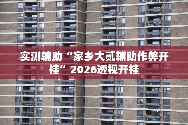 实测辅助“家乡大贰辅助作弊开挂”2026透视开挂