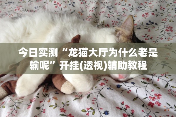 今日实测“龙猫大厅为什么老是输呢”开挂(透视)辅助教程