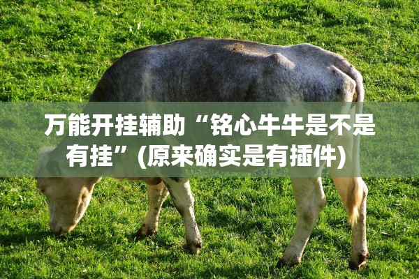 万能开挂辅助“铭心牛牛是不是有挂”(原来确实是有插件) 