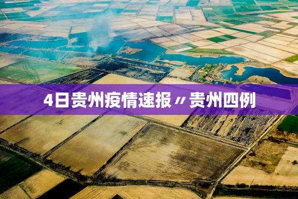 4日贵州疫情速报〃贵州四例 4日贵州疫情速报〃贵州四例