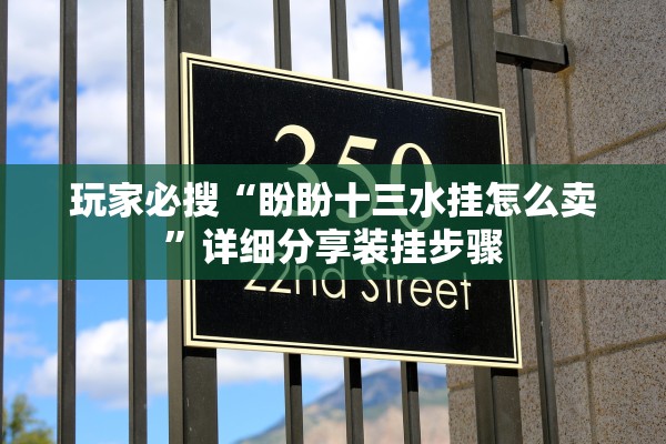 玩家必搜“盼盼十三水挂怎么卖	”详细分享装挂步骤