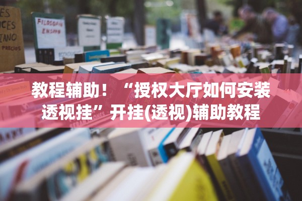 教程辅助！“授权大厅如何安装透视挂”开挂(透视)辅助教程