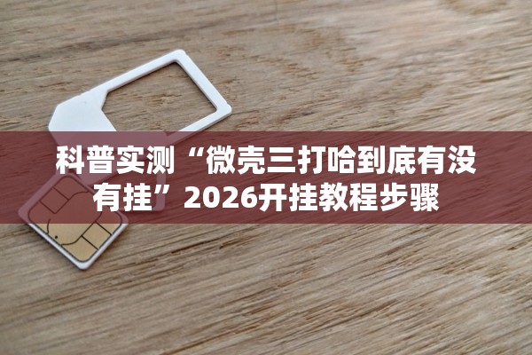 科普实测“微壳三打哈到底有没有挂	”2026开挂教程步骤