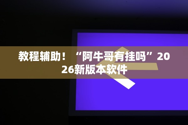教程辅助！“阿牛哥有挂吗	”2026新版本软件