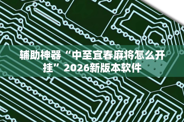 辅助神器“中至宜春麻将怎么开挂	”2026新版本软件