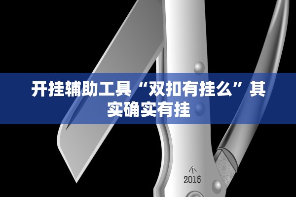开挂辅助工具“双扣有挂么”其实确实有挂
