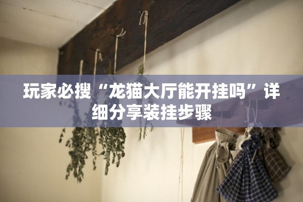 玩家必搜“龙猫大厅能开挂吗”详细分享装挂步骤