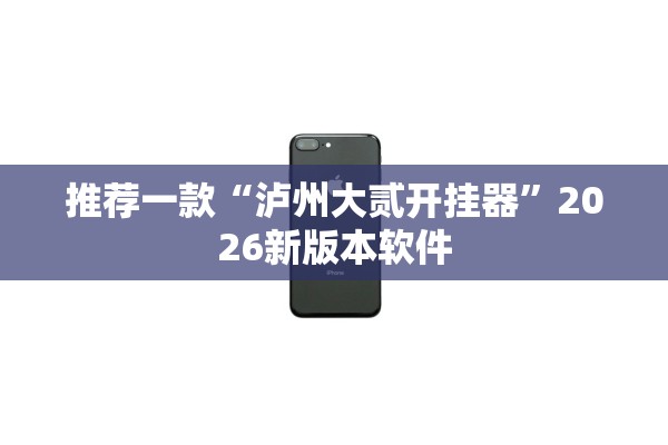 推荐一款“泸州大贰开挂器”2026新版本软件