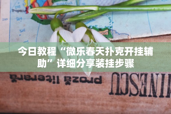 今日教程“微乐春天扑克开挂辅助”详细分享装挂步骤