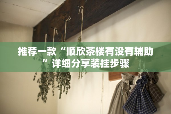 推荐一款“顺欣茶楼有没有辅助”详细分享装挂步骤