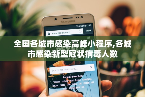 全国各城市感染高峰小程序,各城市感染新型冠状病毒人数