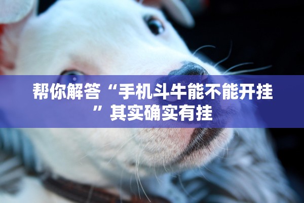 帮你解答“手机斗牛能不能开挂	”其实确实有挂