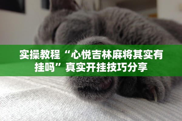 实操教程“心悦吉林麻将其实有挂吗	”真实开挂技巧分享