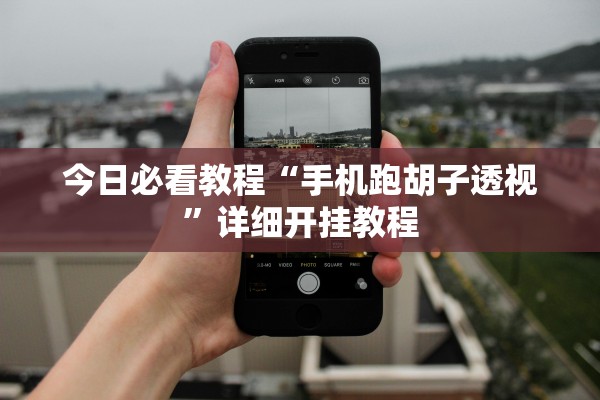 今日必看教程“手机跑胡子透视”详细开挂教程