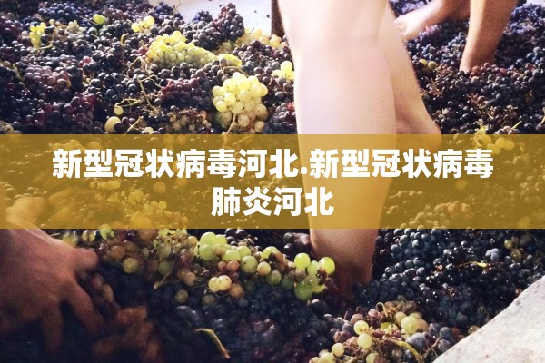 新型冠状病毒河北.新型冠状病毒肺炎河北