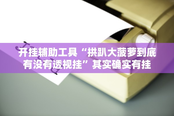 开挂辅助工具“拱趴大菠萝到底有没有透视挂”其实确实有挂