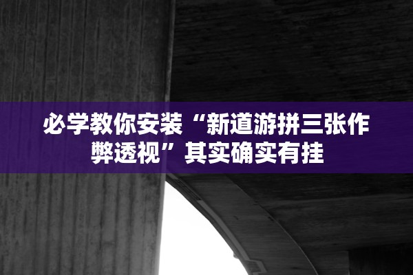必学教你安装“新道游拼三张作弊透视”其实确实有挂