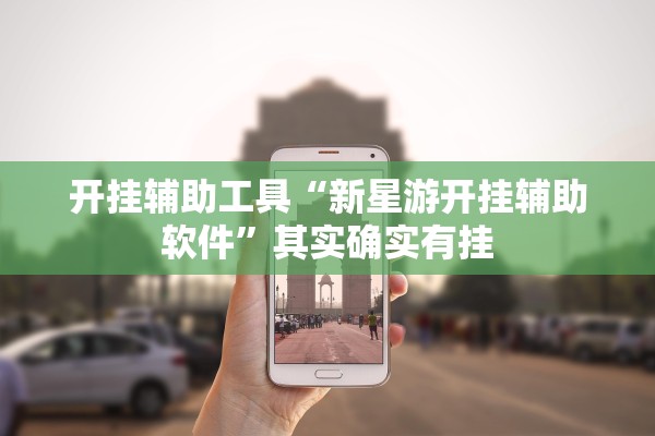 开挂辅助工具“新星游开挂辅助软件”其实确实有挂