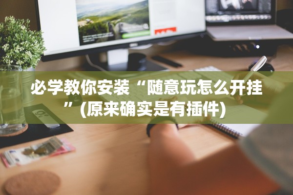 必学教你安装“随意玩怎么开挂”(原来确实是有插件) 