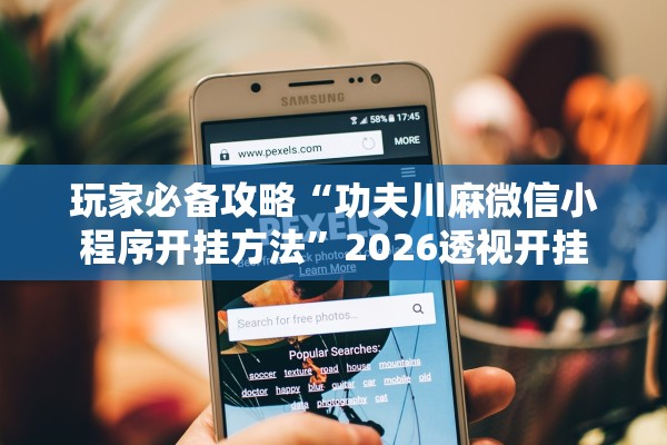 玩家必备攻略“功夫川麻微信小程序开挂方法”2026透视开挂