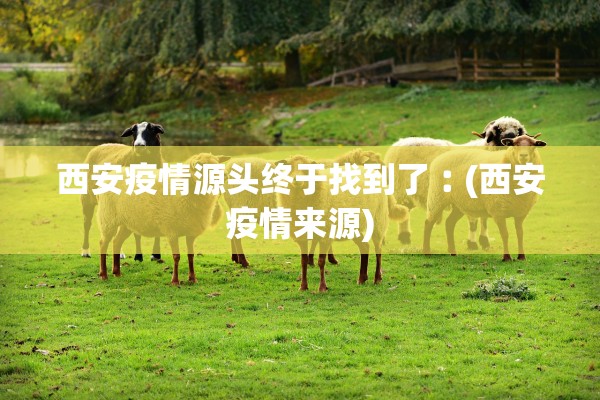 西安疫情源头终于找到了︰(西安疫情来源)