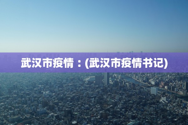 武汉市疫情︰(武汉市疫情书记)