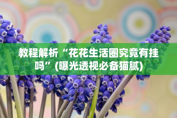 教程解析“花花生活圈究竟有挂吗”(曝光透视必备猫腻)