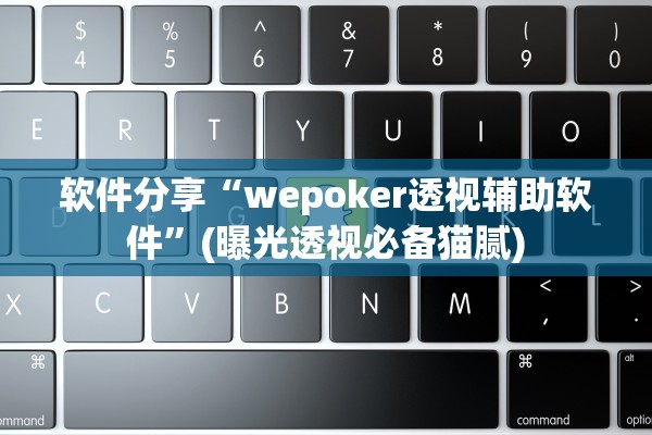 软件分享“wepoker透视辅助软件”(曝光透视必备猫腻)