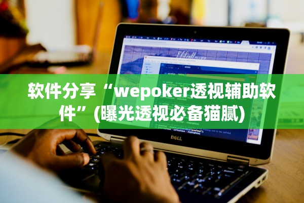 软件分享“wepoker透视辅助软件	”(曝光透视必备猫腻)