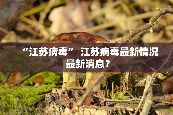 “江苏病毒	” 江苏病毒最新情况 最新消息？