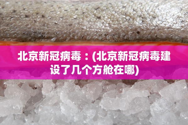 北京新冠病毒︰(北京新冠病毒建设了几个方舱在哪)