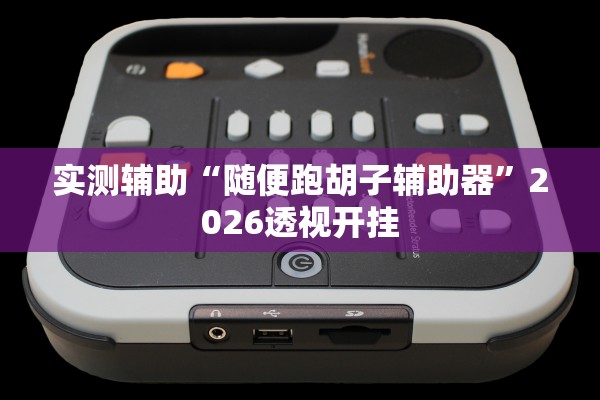 实测辅助“随便跑胡子辅助器”2026透视开挂