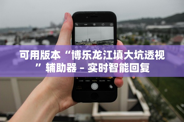 可用版本“博乐龙江填大坑透视”辅助器 – 实时智能回复