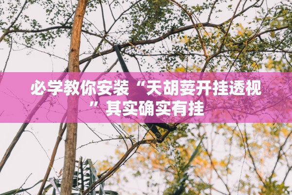 必学教你安装“天胡荽开挂透视	”其实确实有挂