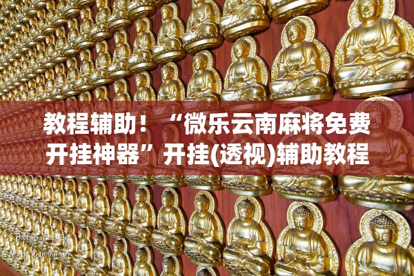 教程辅助！“微乐云南麻将免费开挂神器”开挂(透视)辅助教程