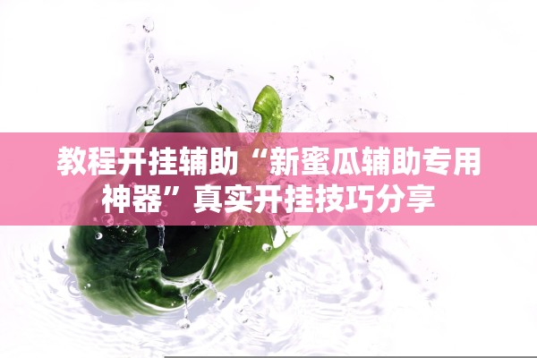 教程开挂辅助“新蜜瓜辅助专用神器”真实开挂技巧分享
