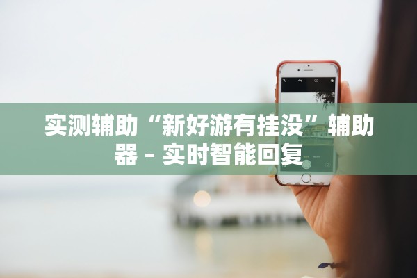 实测辅助“新好游有挂没”辅助器 – 实时智能回复