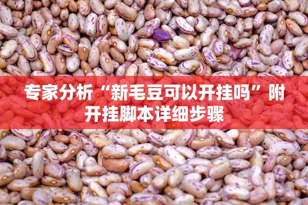 专家分析“新毛豆可以开挂吗”附开挂脚本详细步骤