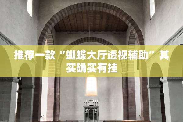 推荐一款“蝴蝶大厅透视辅助”其实确实有挂