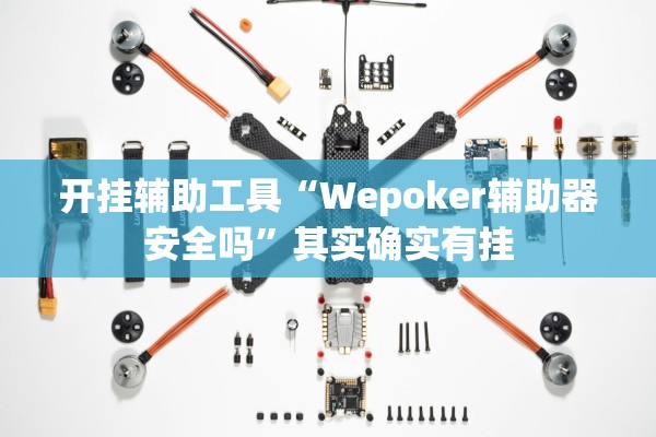 开挂辅助工具“Wepoker辅助器安全吗”其实确实有挂