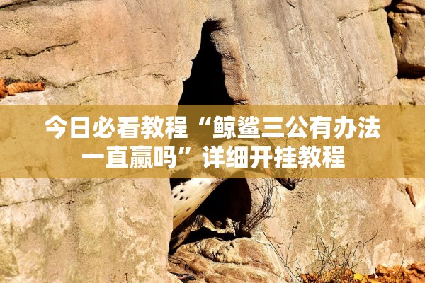 今日必看教程“鲸鲨三公有办法一直赢吗	”详细开挂教程
