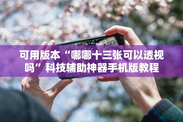 可用版本“哪哪十三张可以透视吗”科技辅助神器手机版教程