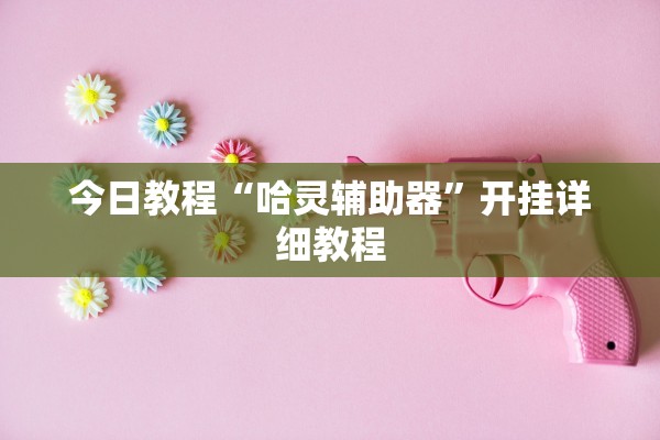 今日教程“哈灵辅助器	”开挂详细教程