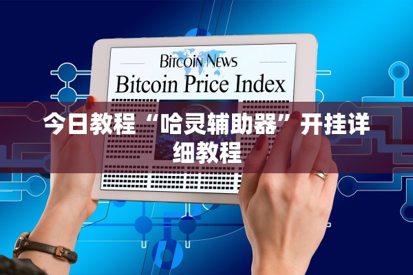 今日教程“哈灵辅助器	”开挂详细教程