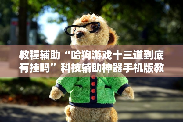 教程辅助“哈狗游戏十三道到底有挂吗”科技辅助神器手机版教程