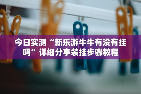今日实测“新乐游牛牛有没有挂吗”详细分享装挂步骤教程